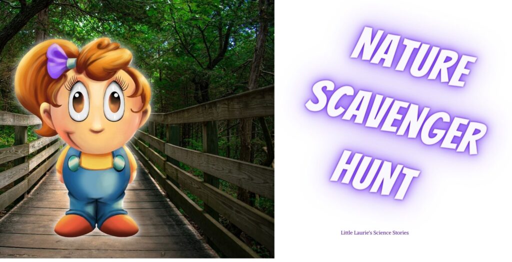 How to organize a nature scavenger hunt